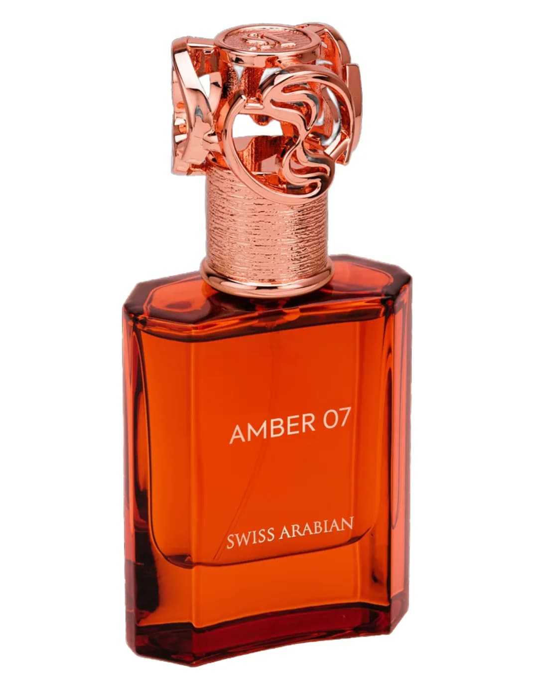 Amber 07, vista 4