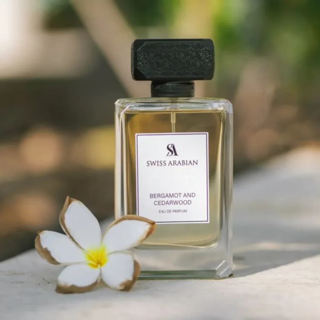 Bergamot and Cedarwood, vista 3